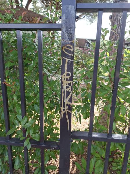 intervention anti tags montpellier